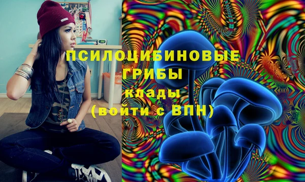 прущая мука Новозыбков