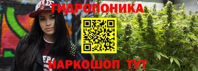 дживик Нальчик