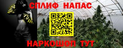дживик Нальчик