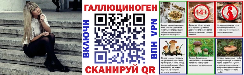 Галлюциногенные грибы Cubensis закладки Юрга