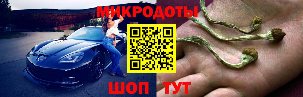 Галлюциногенные грибы Psilocybine cubensis Юрга