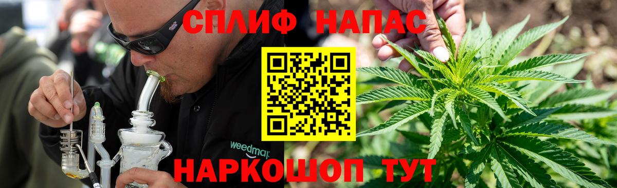 Канабис сатива Юрга
